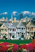 San Francisko